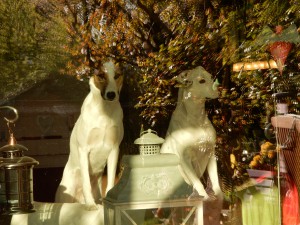Feli und Zina haben Katzenalarm