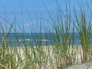 Dünen, Strand und Meer - Vorfreude auf Texel