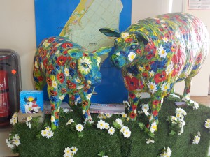 Pappschafe - Vorfreude auf Texel