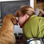 Nasenkuss, Strandurlaube mit Hund