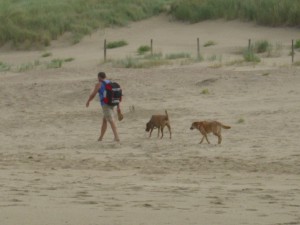 So ein Köttelbeutel muss zur Tonne gebracht werden, Strandurlaube mit Hund