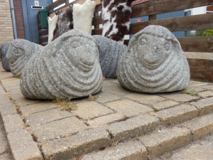 Beton Schafe auf Texel - Schnappschüsse