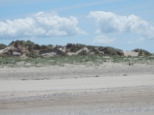 Dünen auf der Strandwanderung zur Südspitze Texels