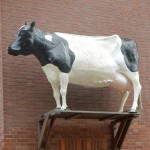 Kuh Deko der Tierklinik in Den Burg auf Texel