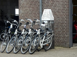 Fahrradverleih auf Texel - Schnappschüsse