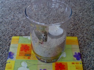 Sand von der Ostsee - Hochzeitstag