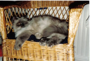 Bells Siesta - Schwedische Möbel