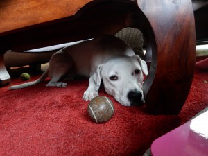 Zina mit Ball unter ihrem Tisch -Ballspaß