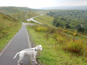 Zina auf der Halde Hoheward