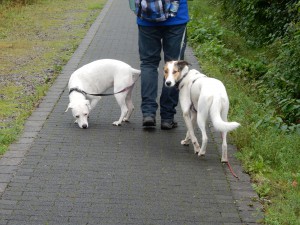 Zina und Feli auf der - Halde Hoheward