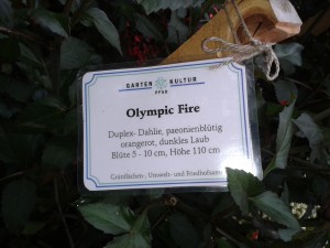 Beschriftung der Dahlien - Dahliengarten in Fulda