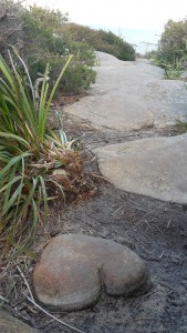 Judiths Foto: Herz aus Stein - Herzschmerz