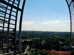 Ausblick von Tigers und Turtels - Haldenhopping