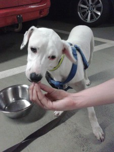 Zina in der Tiefgarage am Flughafen Frankfurt - Zinas dritter Geburtstag
