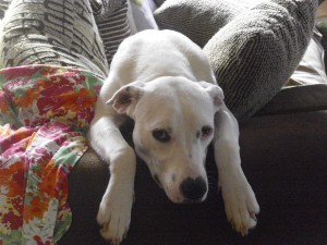 Zina hängt ab - Zinas dritter Geburtstag