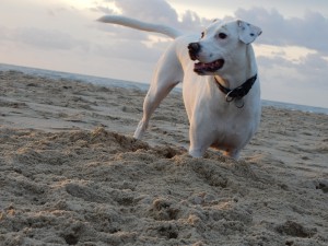 Aufmerksame Zina - Zina, die Buddelprinzessin