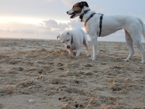 Zina und Feli am Buddelloch - Zina, die Buddelprinzessin