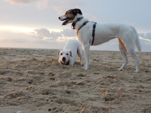 Buddelprinzessin Zina und Oberaufsicht Feli - Zina, die Buddelprinzessin