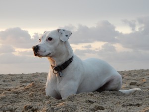 Zinas Buddelloch als Stehplatz - Zina, die Buddelprinzessin