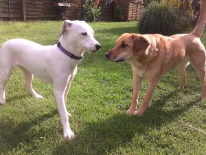 Zina angespannt und Elli relaxt - Zinas dritter Geburtstag