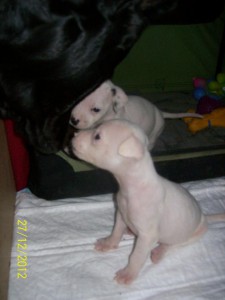 Zina mit Schwester - Zinas dritter Geburtstag