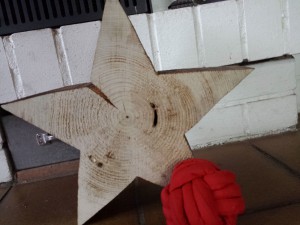 Hundeball trifft Weihnachtsstern - Weihnachtsmahl