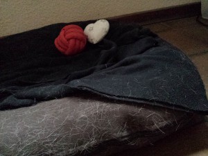 Ball und Weihnachtsschmuck im Hundekörbchen - Weihnachtsmahl