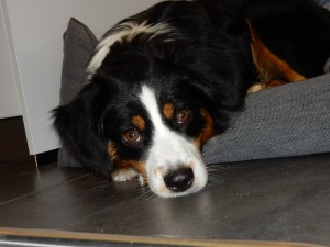 Pennys Blick zum Dahinschmelzen - Penny