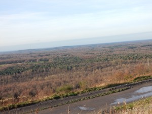 Blick über den Köllnischen Wald von der Halde Haniel