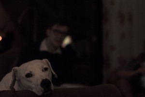 Zina träumt von Weihnachten - Weihnachtsmahl