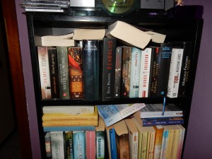 überladenes Bücherregal, leichtes Gepäck