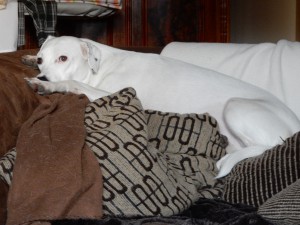 Ausruhende Zina, Der besondere Tag