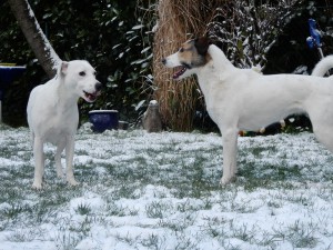 Hör mal, Feli und Zina im Schnee