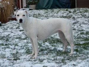 Schöne Zona, Feli und Zina im Schnee