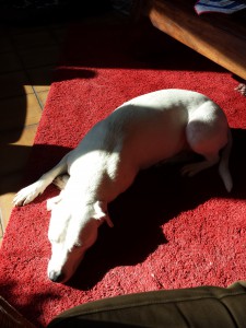 Zina sonnt sich, Sonnenbad