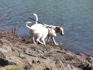 Zina und Feli am Kanal, Strandgut