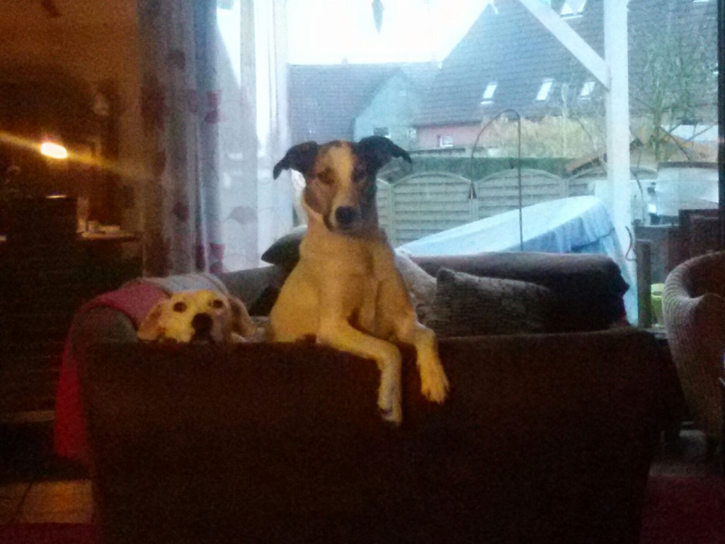 Beobachtungsposten Zina und Feli, Feli ist angekommen