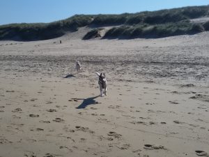 Fangen, Standspiele auf Texel