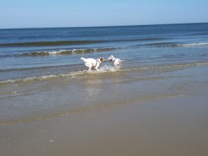 Käbbel im Meer, Strandspiele auf Texel