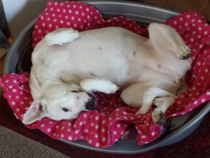 Verdrehte Zina, Strandspiele auf Texel