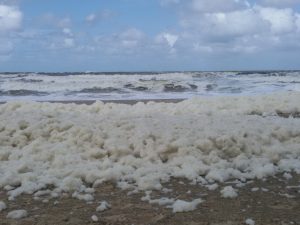 Gischt, Steife Brise auf Texel