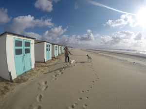 Strandhäuser, Steife Brise auf Texel