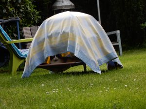 Single Außenhöhle, Schwatti