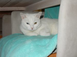 Stuhlhöhle, Schwatti