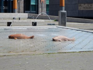 Wasserspiel Fische, 's Hertogenbosch