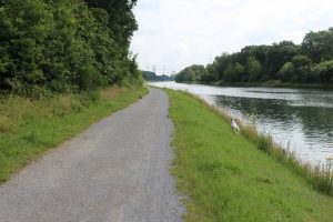Feli auf der Jagd nach schwarzen Punkten, Daumenkino