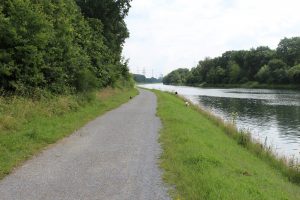 Vor Feli wegfliegender Vogel, Daumenkino