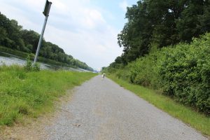 Frauchen hat gepfiffen, Zina. Daumenkino