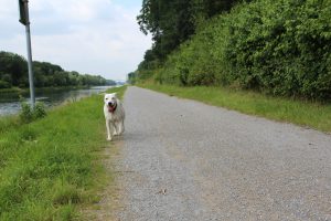 Eingeholt. Zina! Daumenkino