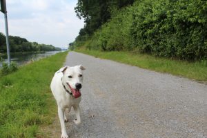 Bin da, eure Zina. Daumenkino